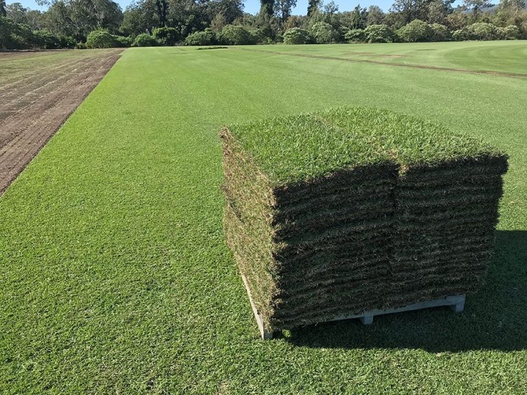 Lawn